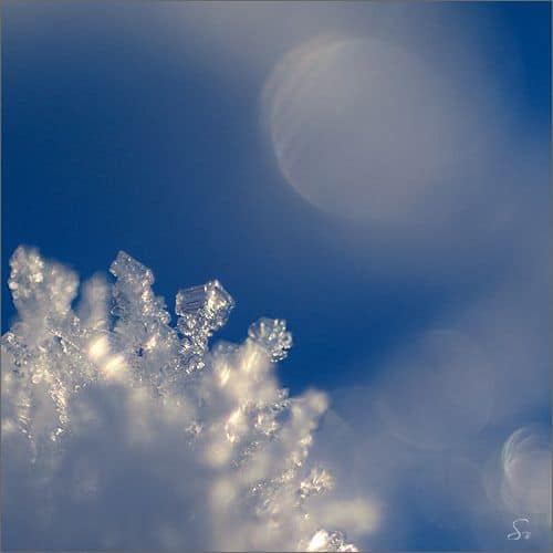 ice