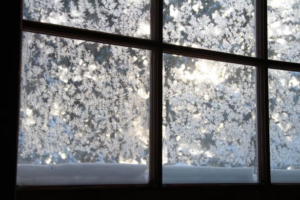 frosted